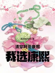 我选康熙! 城里的村姑
