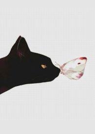 人间好时节绘本