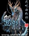 盘龙后传