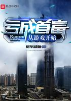 亏成首富从游戏开始盘