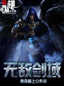 无敌剑域杨叶父亲真是身份