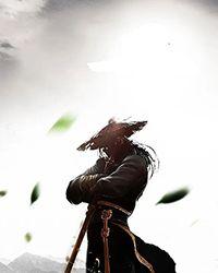 医武独尊在线阅读